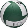 imageWilson Helix Official Size VolleyballsGreenWhite