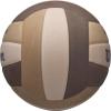 imageWilson Pro Tour Volleyball  Official Size BrownTanBeige
