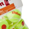 imageWilson Starter Tennis Balls  3 balls12 Balls