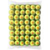 imageWilson Starter Tennis Balls  3 ballsStarter Orange  Ages 910