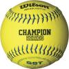 imageWilson USSSA Series Synthetic Leather Softball 1 Dozen