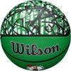 imageWILSON NBA Team Graffiti Basketballs  Size 7295quotBoston Celtics