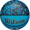 imageWILSON NBA Team Graffiti Basketballs  Size 7295quotCharlotte Hornets