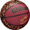 imageWILSON NBA Team Graffiti Basketballs  Size 7295quotCleveland Cavaliers