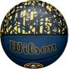 imageWILSON NBA Team Graffiti Basketballs  Size 7295quotDenver Nuggets