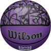 imageWILSON NBA Team Graffiti Basketballs  Size 7295quotSacramento Kings