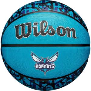imageWILSON NBA Team Graffiti Basketballs  Size 7295quotCharlotte Hornets