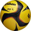 image:imageWilson AVP Game Volleyballs Official Size