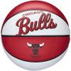 Chicago Bulls