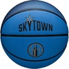 Chicago Sky